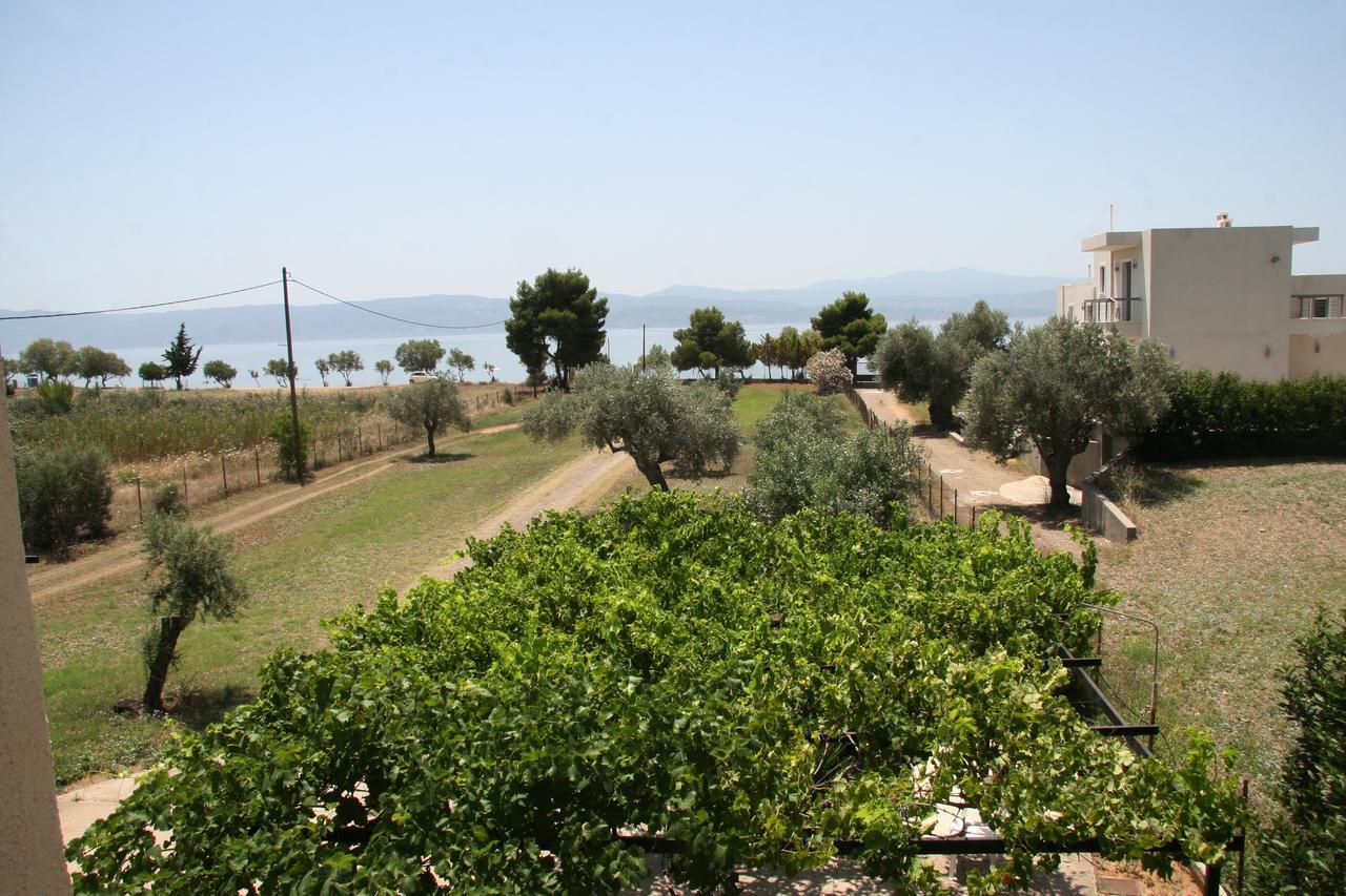Villa Vlichos أمارنثوس المظهر الخارجي الصورة