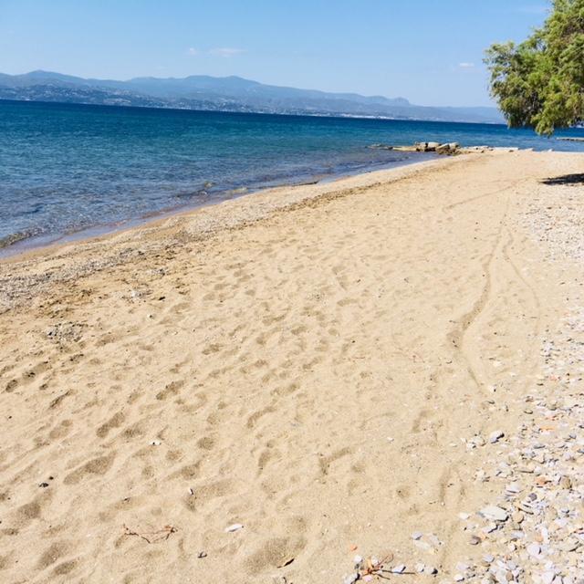 Villa Vlichos أمارنثوس المظهر الخارجي الصورة